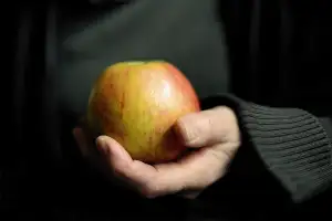 Rodinná Dovolená A Jiná Neštěstí